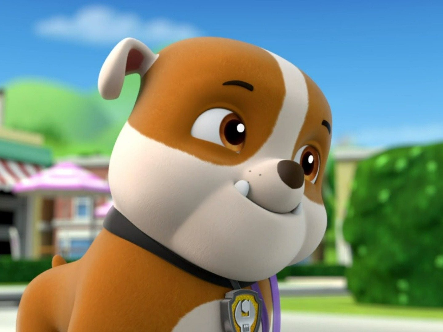 paw patrol pups and kitty tastrophe